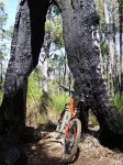 mtb11.jpg