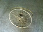 DSC00198.jpg