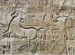 egipto.jpg