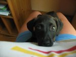 IMG_0032.jpg