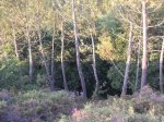 bajada dos desde arriba.JPG