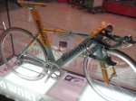bianchi pantani.jpg