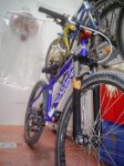 DSC09909.JPG