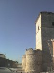 DSC00235.jpg