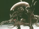 alien.jpg