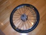 DSCF0783.JPG