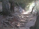 DSCN8224.JPG