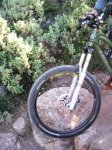 DSCN8286.JPG