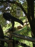 DSCN8318.JPG
