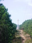 DSC06180.JPG