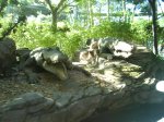 DSC00064.JPG