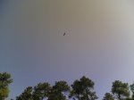 domingo20-07-2008 037.jpg