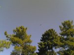 domingo20-07-2008 040.jpg