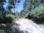 domingo20-07-2008 045.jpg