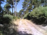 domingo20-07-2008 047.jpg