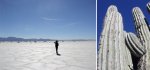 salta_desierto_de_sal_02.jpg