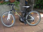 100_0171.jpg