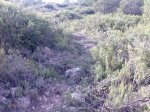 Imagen006.jpg