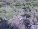 Imagen008.jpg
