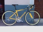 bici alberto giant t44.jpg