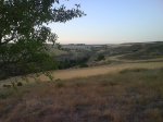 DSC00195.jpg