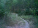 DSC00199.jpg