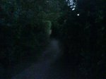 DSC00203.jpg
