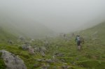 DSC08828.jpg