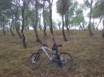 Movil_0261.jpg
