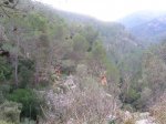 DSCN5189.JPG