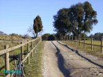 12 Mare de Deu del roser.JPG