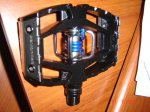 DSC05350.JPG