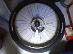 DSC01790.jpg