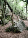 DSCN6715.JPG