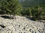 Foto7.JPG