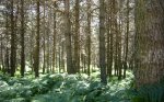 Foto12.JPG