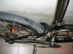 DSC02496.jpg