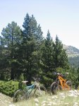 IMG_5392r.JPG