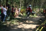 IMG_4911.JPG