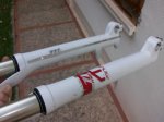 100_0782.JPG