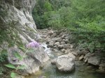 albanya-camprodon11.JPG
