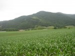 albanya-camprodon18.JPG