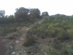 23-07-08_2020.jpg