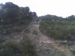 23-07-08_2022.jpg