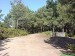 DSC00839.jpg