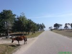 DSC00843.jpg