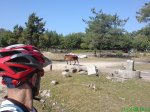 DSC00844.jpg