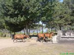 DSC00846.jpg