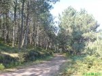 DSC00847.jpg