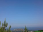 DSC00848.jpg